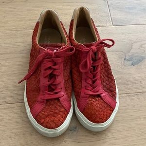 Limited edition veja sneakers